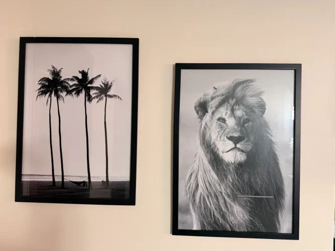 Quadros decorativos