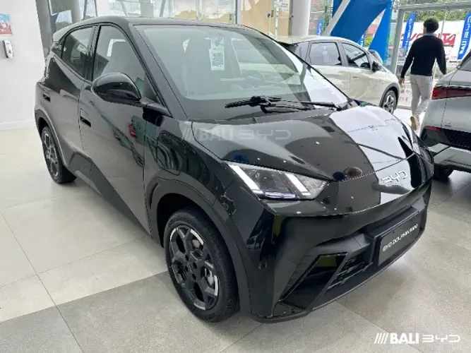 BYD Dolphin Mini GL 2027