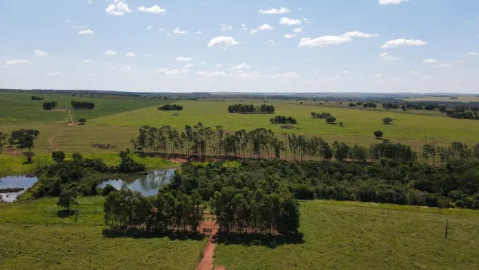 Área 55 Mil m2, Ideal Para Condomínio Logístico ou Industrias, Rico em Água com Lago, Casa