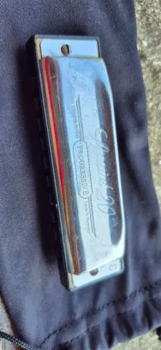 Gaita Hohner Special 20 Harmônica Diatônica 10 Furos Afinação C Dó