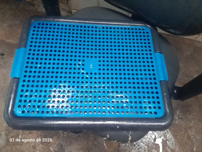 Tapete higiênico pra pet
