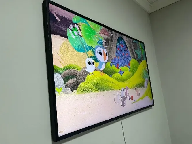 Smart tv Samsung frame 43 ?