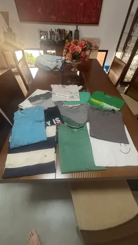 Lote de Camisetas Masculinas Seminovas - Adidas, Tommy e Outras Marcas