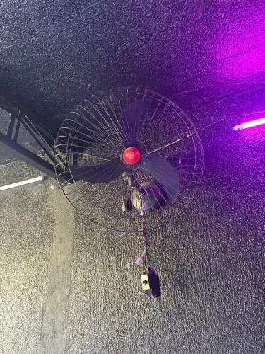 Ventilador de Parede Industrial