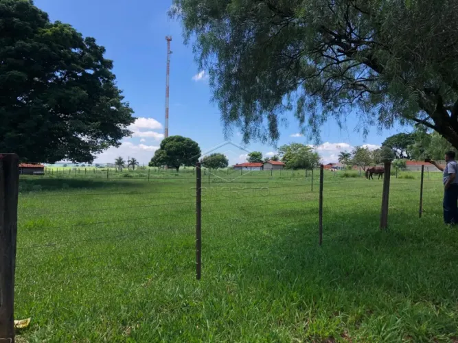 Lote rural em Arealva - centro da cidade!!