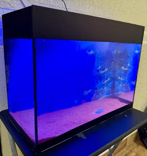 Aquário 24 litros completo com mesa