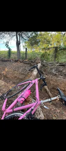Bicicleta speed