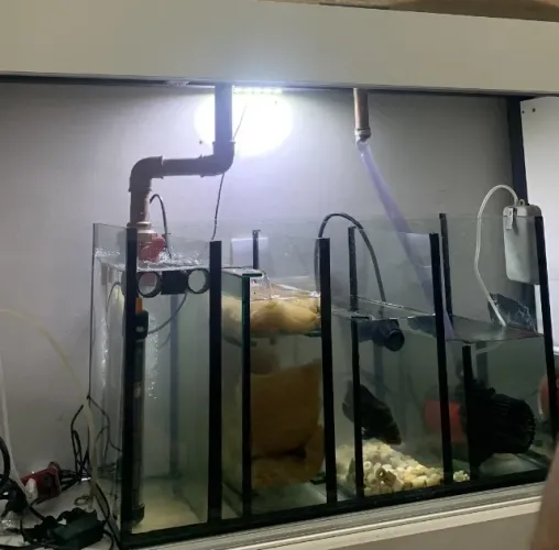 Sump Aquario