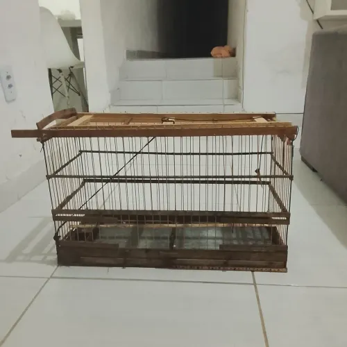 Alçapão