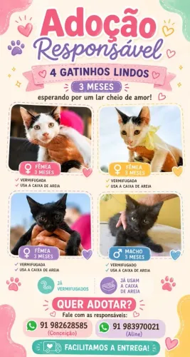 Adoção Responsável  