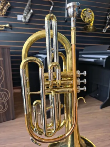 Trombonito Blaver (SEMINOVO) #0510126