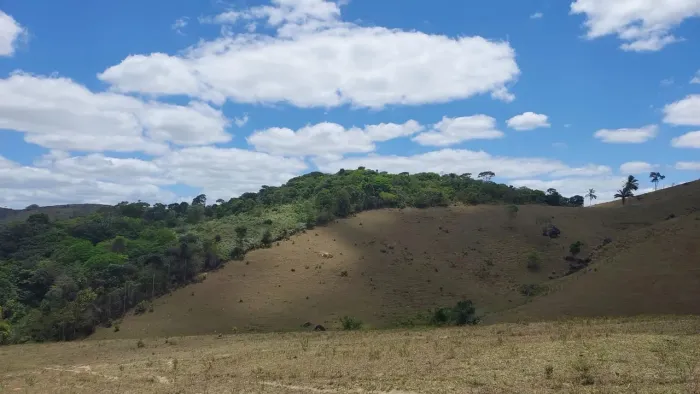 Fazenda em Joaquim Gomes