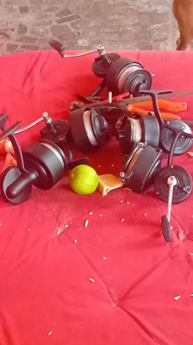 Molinetes paoli esperado. Tamanho grande