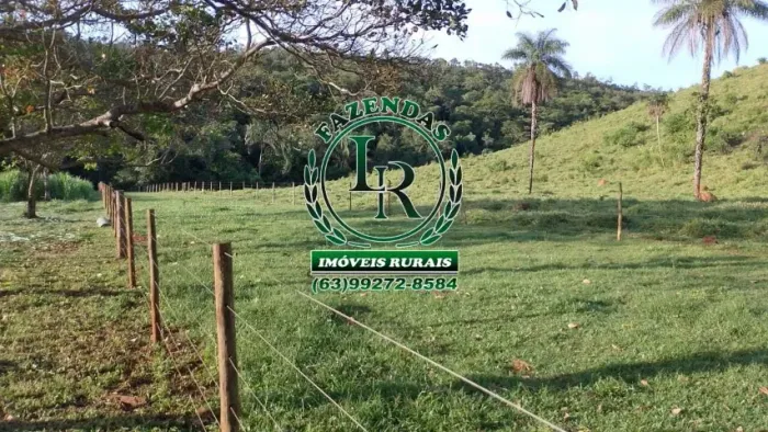 Chácara 89 Hectares Entre Palmas e Aparecida
