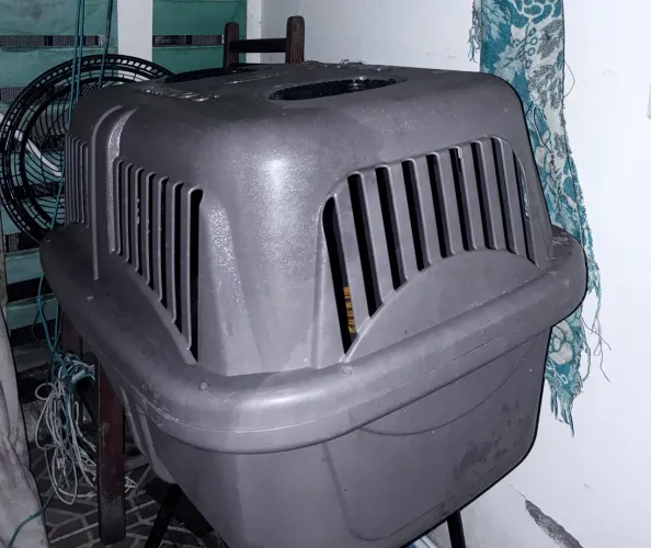 CAIXA DE CACHORRO GRANDE