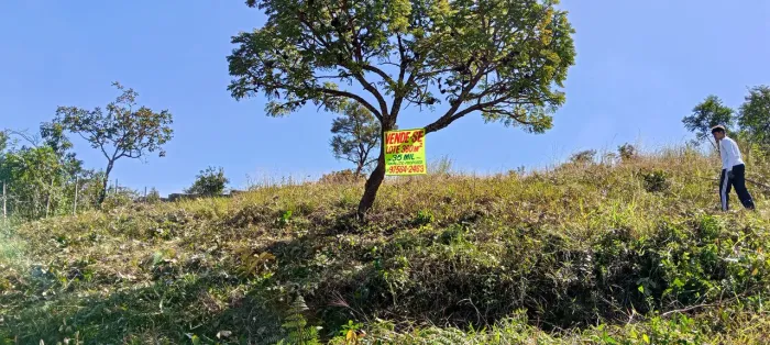 Lote de oportunidade