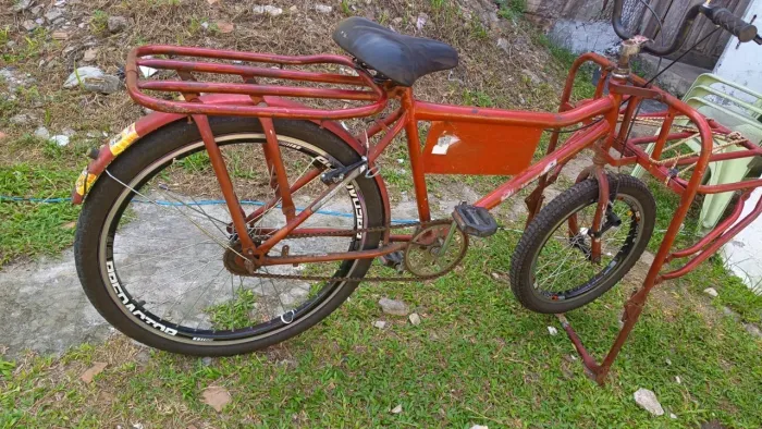 Bicicleta cargueira