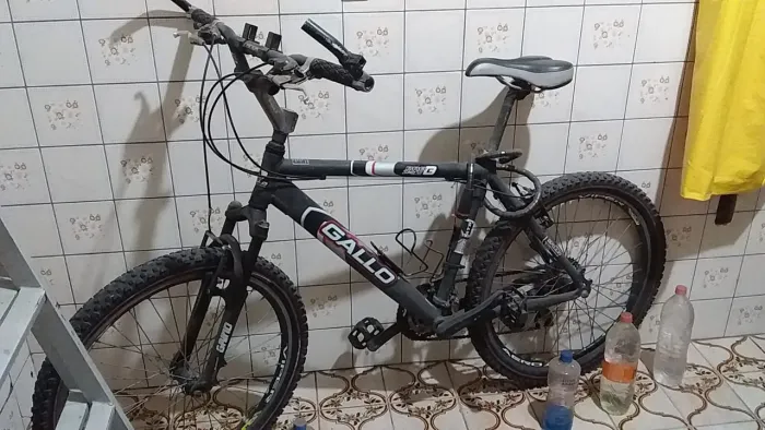 Bike Galo Aro 26