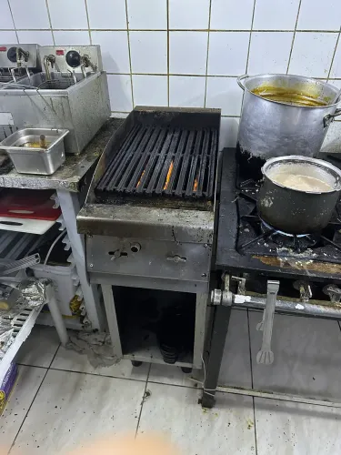 Broiler 60 cm
