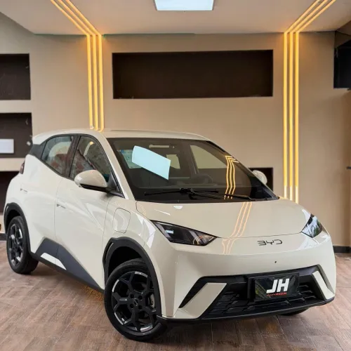 BYD Dolphin Mini (Elétrico) 2027
