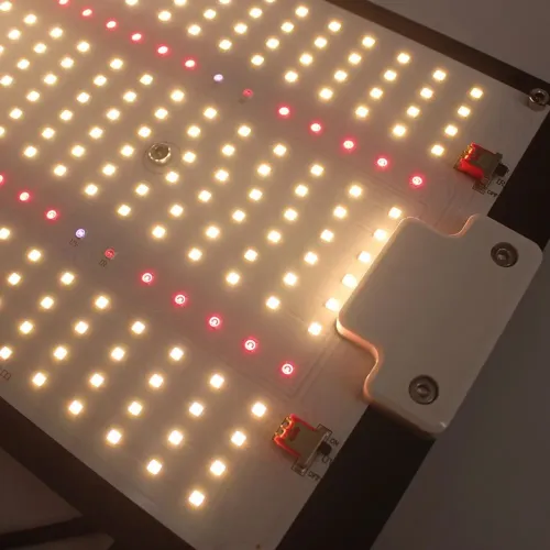 Quantum board 150w