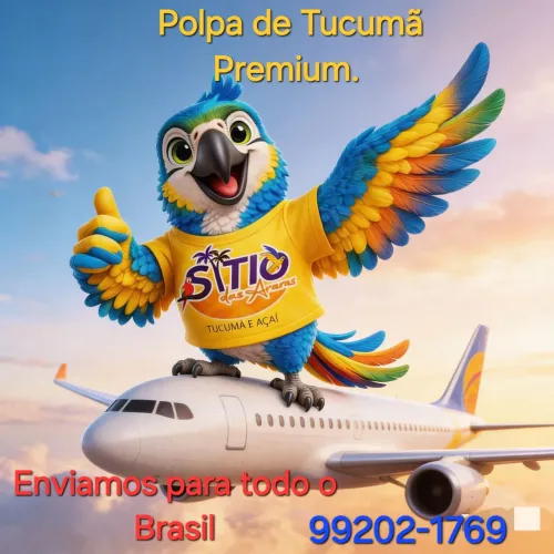 Polpa de tucumã qualidade Premium