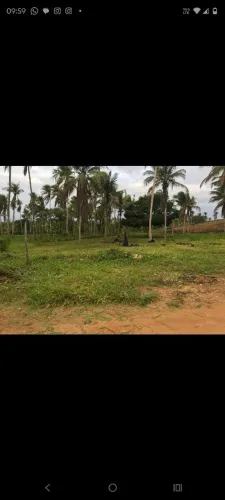 Vendo este terreno em São Cristóvão. Pov Aningas.