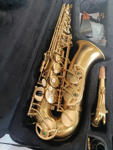 Saxofone Alto Michael WASM 35- Belíssimo- Garantia de 6 meses- Envio para todo Brasil