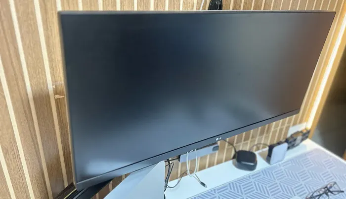 Monitor LG 29 polegadas