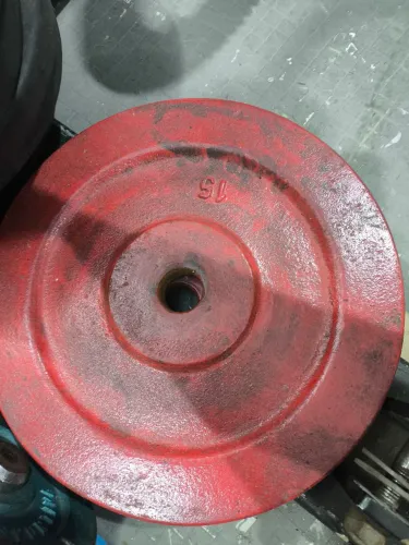 Par de anilhas de 15 kg