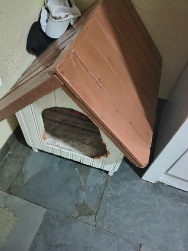 Vendo essa casa para cachorro! R$ 50 zap para contato *