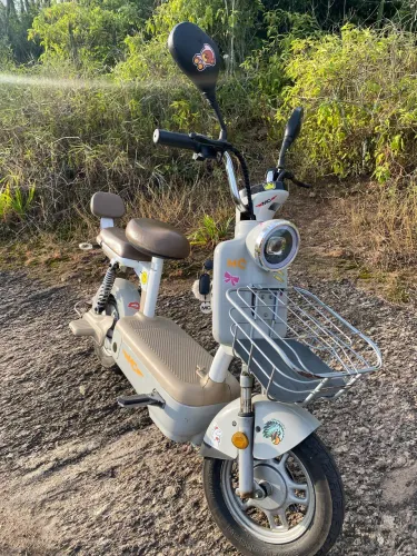 Bicicleta elétrica