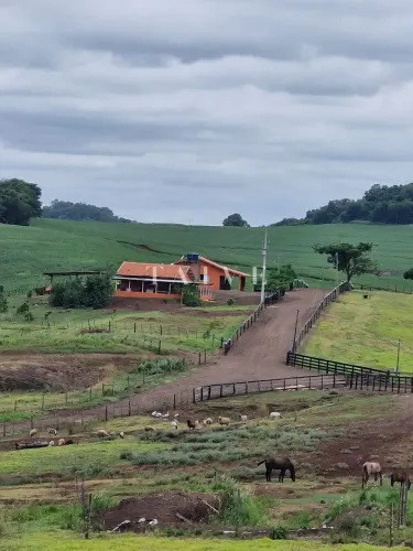 Fazenda à Venda, 102 alqueires, pastagem e plantio, com casas sede, funcionários e Colonia