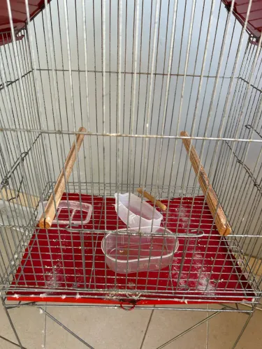 Vendo gaiola