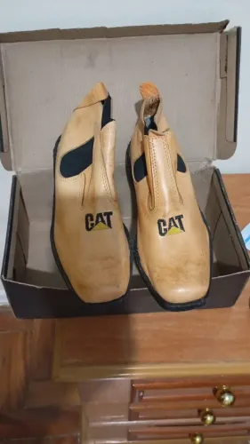 Bota nova