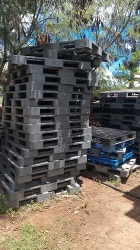 Palete de plástico