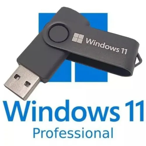 Pen Drive com Windows 