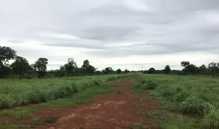 Fazenda de 610 alq em São João d' Aliança - GO