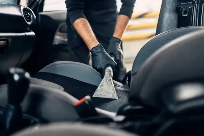 Higienização Interna