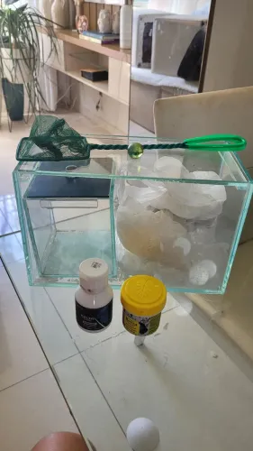 Aquário para peixes ornamentais 