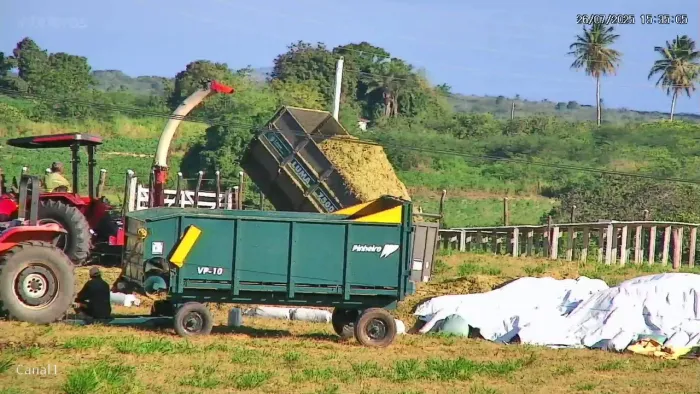 SILAGEM PREMIUM NO RN 