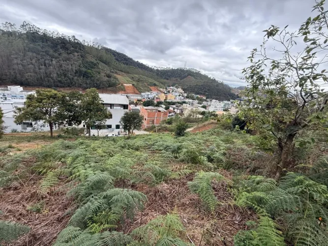 Lotes no centro de Santa Maria de jetiba