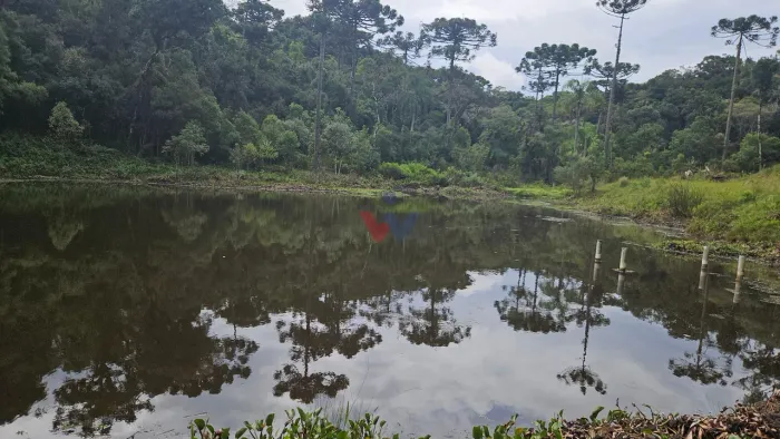 Chácara de 24.000 m , estrutura para eventos, turismo e lazer, em São José dos Pinhais