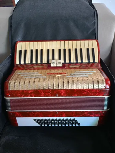 Acordeon Todeschini 48 baixos a Venda