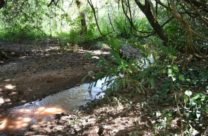 Vende-se - 9,6 Hectares - Petrolina de Goiás (GO)