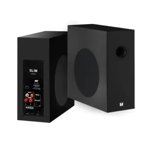Sub Woofer Philips 100 Wahts 6 polegadas