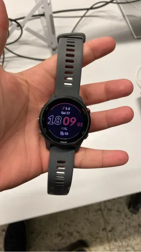Garmin Forerunner 255
