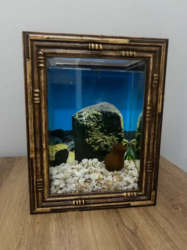 Aquário decoração terrário beteira 