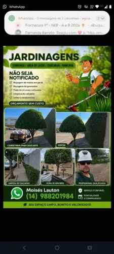 Jardinagem , Podâ em árvore, limpeza terrenos