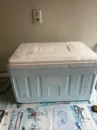 Caixa térmica - 50L